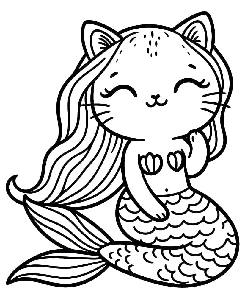 Chat Sirène 33